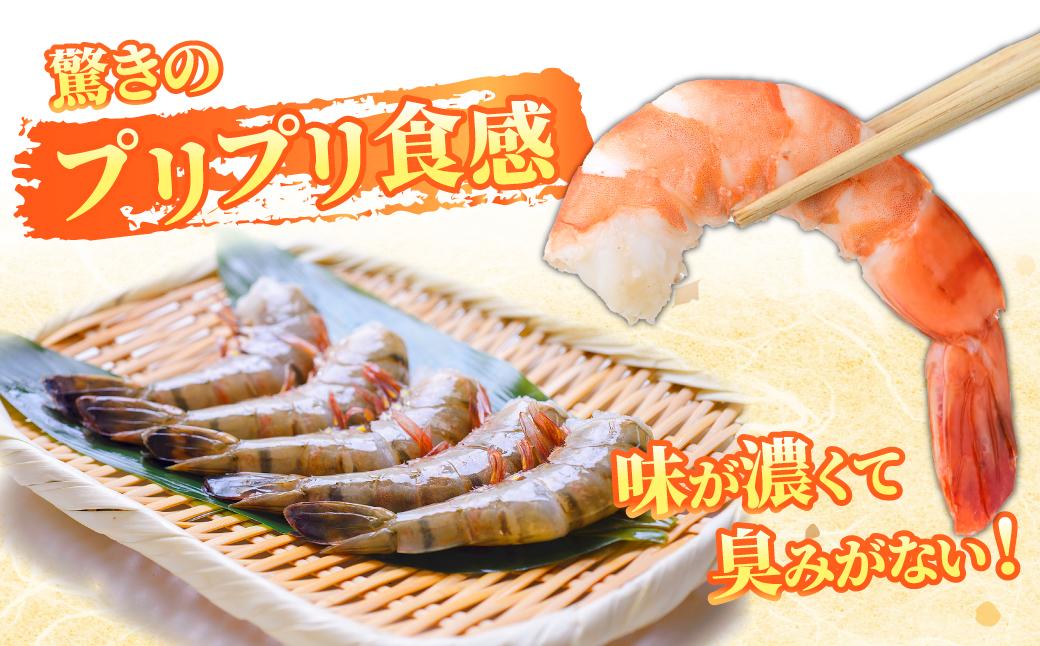 魚兵水産こだわりのブラックタイガー海老　 10尾10パック(計2400g程度)【配送不可地域：離島】【1215915】