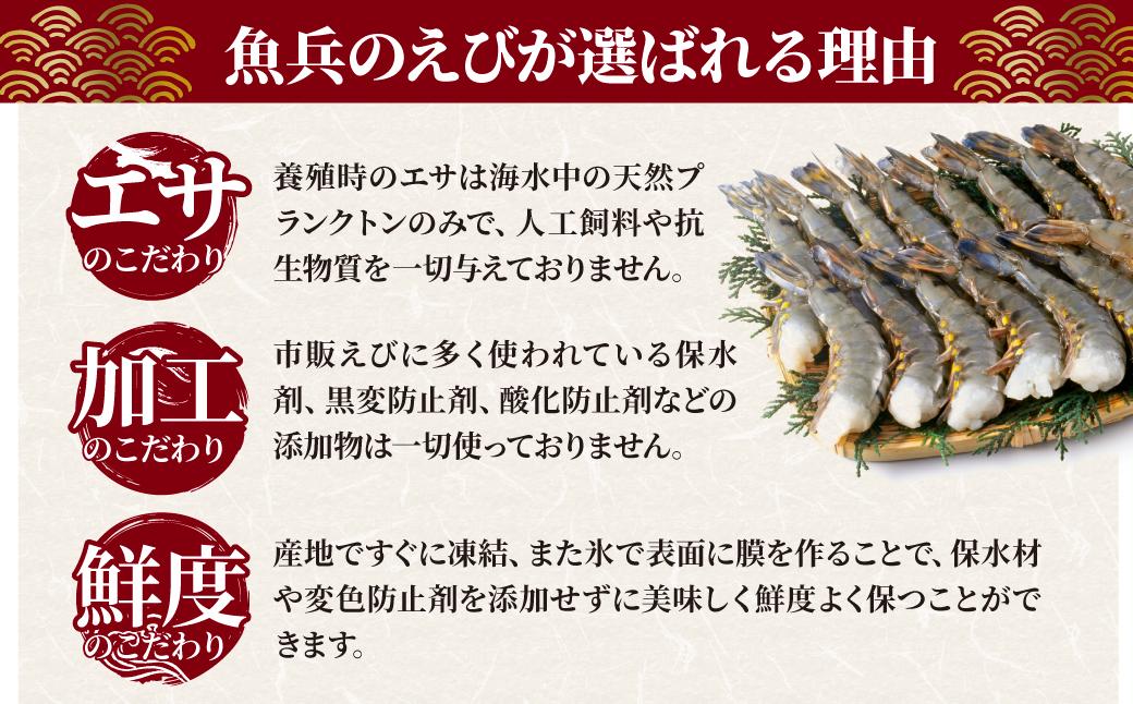 魚兵水産こだわりのブラックタイガー海老　 10尾10パック(計2400g程度)【配送不可地域：離島】【1215915】