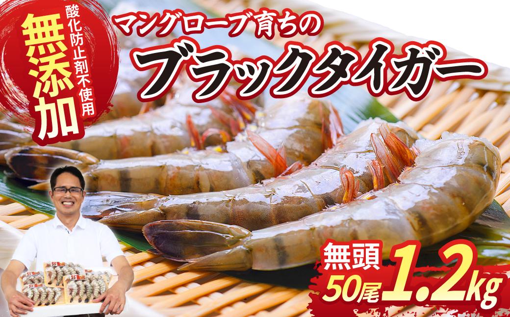 魚兵水産こだわりのブラックタイガー海老　 10尾5パック(計1200g程度)【配送不可地域：離島】【1215914】