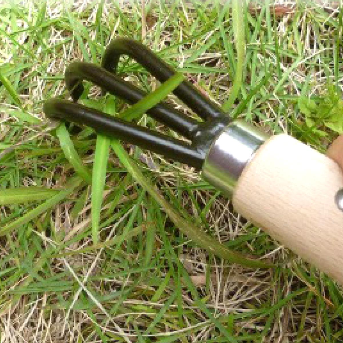 シバクイーン(芝生用の草取り鎌)【1207770】