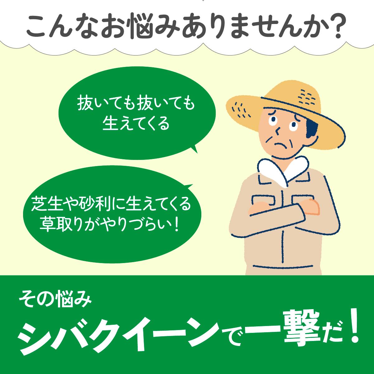 シバクイーン(芝生用の草取り鎌)【1207770】