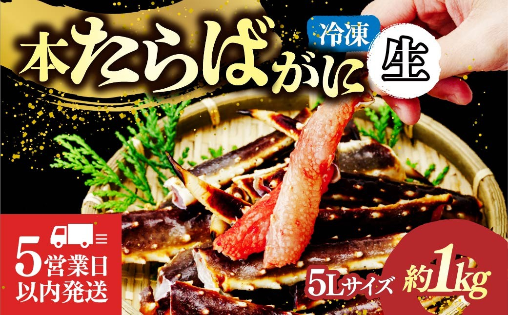 生たらばがに脚 5L×1肩(約1kg) 【5営業日以内配送】｜カニ かに 蟹 本たらば蟹 たらばがに たらば蟹 タラバ蟹 たらば タラバ 訳あり 5L 海鮮 特大 ひたちなか市 茨城県