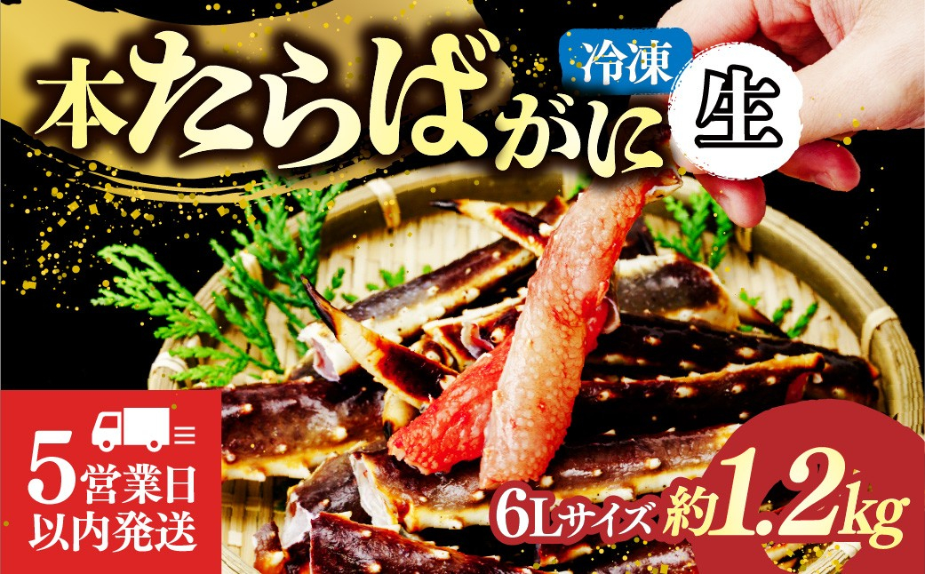 生たらばがに脚 6L×1肩(約1.2kg) 【5営業日以内配送】｜カニ かに 蟹 本たらば蟹 たらばがに たらば蟹 タラバ蟹 たらば タラバ 訳あり 6L 海鮮 特大 ひたちなか市 茨城県
