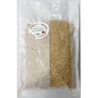 【特別栽培米】コシヒカリ　茨城県産　玄米　600g　ギフトにおすすめ【1670037】