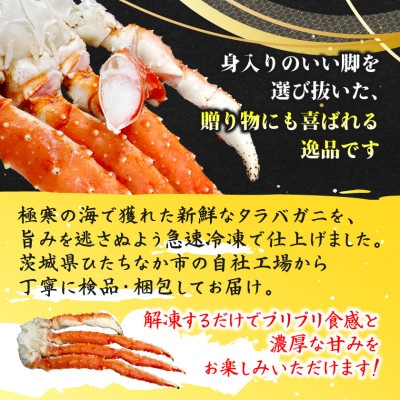 繝懊う繝ォ譛ャ縺溘i縺ー縺後↓閼 5Lテ1閧ゥ(邏1kg)縲宣埼∽ク榊庄蝨ー蝓滂シ夐屬蟲カ縲代1692167縲