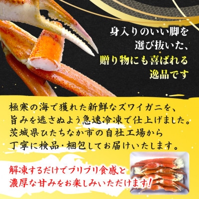特大ボイル本ずわいがに肩付脚 約1.8kg(3〜5肩)【配送不可地域：離島】【1692169】