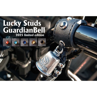 ã©ãããŒã«ã2025éå®ã¹ã¿ããºã¬ãŒãã£ã¢ã³ãã«ãã°ãªãŒã³Ããã©ã¹ãAC-GB-25-BRGRã1612620ã