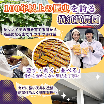 ほしいも品評会受賞 横須賀農園 干し芋(平干し)  400g×2【1614760】