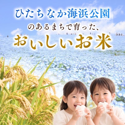 茨城県産お米　にじのきらめき(精米)　5kg【1715531】
