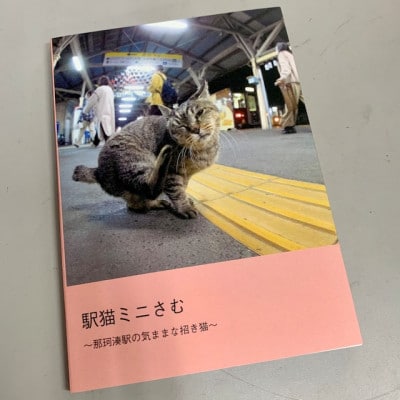 ひたちなか海浜鉄道「駅猫ミニさむ写真集」【1457714】