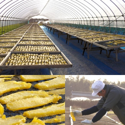 【訳あり】ヒロファームの茨城県ひたちなか産べにはるか　干しいも　切り落とし　400g×2袋【1714016】