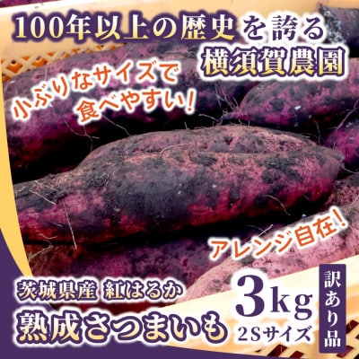【訳あり】茨城県産 熟成さつまいも(生芋) 紅はるか 2Sサイズ 土付き3kg　家庭用 アレンジ◎【1685324】