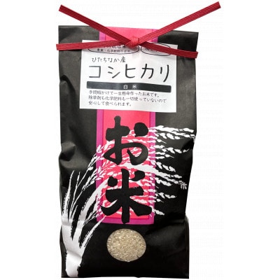 【特別栽培米】コシヒカリ　茨城県産　白米　約4.5kg【1663956】