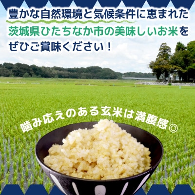 【先行予約・9月以降順次発送】令和7年ひたちなか市産　コシヒカリ(玄米)【10kg】【1654187】