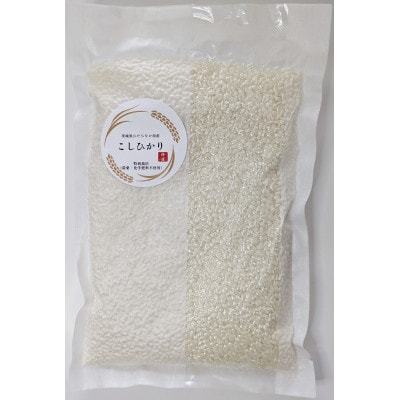 【特別栽培米】コシヒカリ　茨城県産　白米　600g　ギフトにおすすめ【1670035】