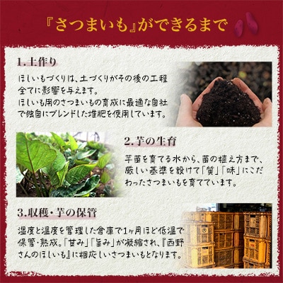 縲仙郁。悟女莉倥サ12譛井サ・髯咲匱騾√(險ウ縺ゅj)隘ソ驥弱&繧薙ョ縺サ縺励>繧ゅ邏縺ッ繧九°縲蛻繧願誠縺ィ縺(200gテ5陲)縲1660799縲