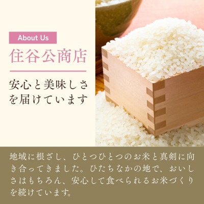 茨城県産お米　にじのきらめき(精米)　5kg【1715531】