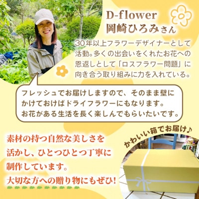 【2026年11月下旬以降発送開始・先行予約】コットンとユーカリのクリスマススワッグ(大きいサイズ)【配送不可地域：離島】【1702527】