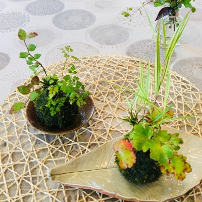 ãå
è¡åä»ã»5æä»¥éé æ¬¡çºéãå£ç¯ã®æäœãã³ã±çãã€ã³ããªã¢ããã¬ãŒã³ãã«ãããã¿ãªã1617467ã