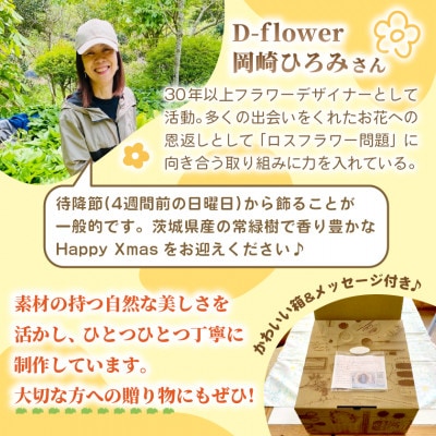 【2026年11月下旬以降発送開始】常緑樹の香りあふれるクリスマスリース(大きいサイズ)【配送不可地域：離島】【1702524】