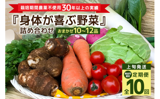 ＜発送月固定定期便＞『身体が喜ぶ野菜』詰め合わせ ( おまかせ 10～12品) 定期便 野菜 詰合せ 上旬発送全10回 詰め合わせセット お任せ 野菜定期便 季節の野菜 セット 有機栽培 EM農法 産地直送 野菜ボックス ギフト 家庭用 茨城県 潮来市 (A03-020)