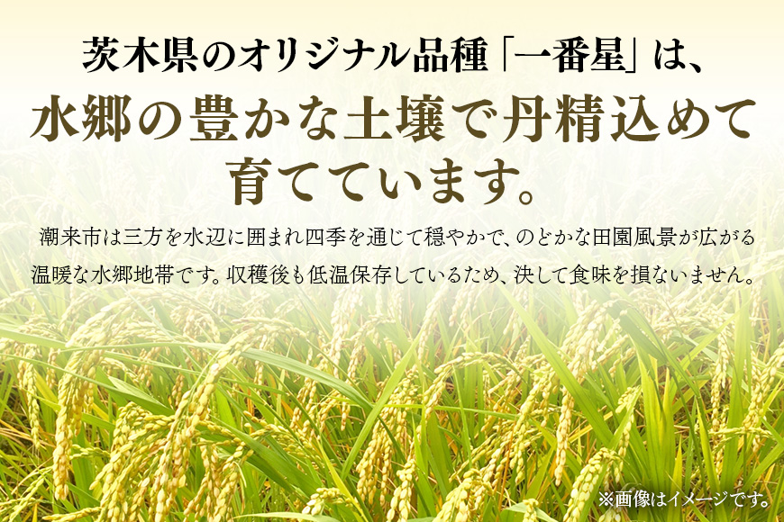 ＜令和6年産＞潮来産一番星精米10kg(5kg×2袋)