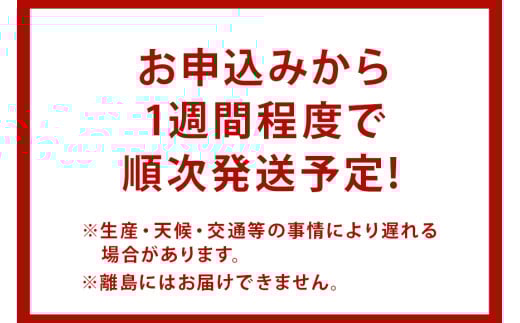 åœç£ ããã¿ å³åæ± ç空ãã㯠ã€ã³ã¹ã¿ã³ã ã¿ãæ± å³åž 30é£ (6é£å
¥ãÃ5å) ã»ãã ããã¿æ± ã·ãžã è ã€ã³ã¹ã¿ã³ãå³åæ± åžžæž©ä¿å åå
è£
æ®»ä»ãããã¿ å³åžå³åæ± å³å ã¿ã ç°¡å調ç åžžæž© æè»œ å¥åº·é£ ç²åŽå埩 èšåç æœ®æ¥åž (A14-004)