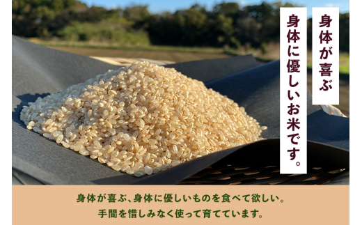 ïŒçç±³ 5kgïŒã身äœãåã¶éèãšãç±³ãè©°ãåãã ããŸããã»ãã èšåçç£ ã³ã·ãã«ãª ç±³ ãç±³ ã飯 ãã¯ã æ œå¹æéäžèŸ²è¬äžäœ¿çš å£ç¯ã®éè ã»ãã 埮çç©èŸ²æ³ EMèŸ²æ³ ææ©æ œå¹ ç£å°çŽé æ°é®® å®¶åºçš æœ®æ¥ã¯ããã¿ã®ãã èšåç æœ®æ¥åž (A03-003)