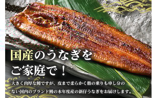 やわらか国内産 うなぎ蒲焼 食べ切りサイズ! 100〜120g 5尾 計500g以上 ふっくら蒲焼き ブランド鰻使用 秘伝のタレ・山椒付き 湯煎で簡単調理 うな丼 ちらし寿司 贈答用 ギフト 冷蔵配送 国産 茨城県 潮来市 (A23-011)