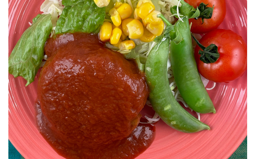 åœç£ææ©å€§è±ããŒããã³ããŒã° 100g à 4ãã㯠æ€ç©æ§åæäœ¿çš ãŽã£ãŒã¬ã³å¯Ÿå¿ JASèªèšŒååŸ ãèã®ãããªé£æ ããªã¥ãŒã æºç¹ å¥åº·å¿å ãã«ã·ãŒé£å å·åä¿å èšåç æœ®æ¥åž (A61-004)