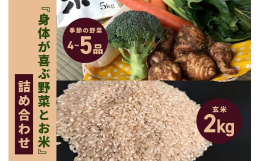 ＜玄米 2kg＞『身体が喜ぶ野菜とお米』詰め合わせ おまかせセット 茨城県産 コシヒカリ 米 お米 ご飯 ごはん 栽培期間中農薬不使用 季節の野菜 セット 微生物農法 EM農法 有機栽培 産地直送 新鮮 家庭用 潮来はぐくみのもり 茨城県 潮来市 (A03-005)