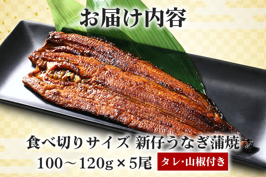 やわらか国内産 うなぎ蒲焼 食べ切りサイズ! 100〜120g 5尾 計500g以上 ふっくら蒲焼き ブランド鰻使用 秘伝のタレ・山椒付き 湯煎で簡単調理 うな丼 ちらし寿司 贈答用 ギフト 冷蔵配送 国産 茨城県 潮来市 (A23-011)