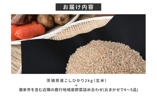 ïŒçç±³ 2kgïŒã身äœãåã¶éèãšãç±³ãè©°ãåãã ããŸããã»ãã èšåçç£ ã³ã·ãã«ãª ç±³ ãç±³ ã飯 ãã¯ã æ œå¹æéäžèŸ²è¬äžäœ¿çš å£ç¯ã®éè ã»ãã 埮çç©èŸ²æ³ EMèŸ²æ³ ææ©æ œå¹ ç£å°çŽé æ°é®® å®¶åºçš æœ®æ¥ã¯ããã¿ã®ãã èšåç æœ®æ¥åž (A03-005)