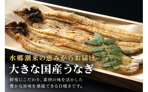 å¢ç°å·éåºã®ããªãçœçŒïŒå€§3æ¬ïŒ ããªã çœçŒã æç¥çäžæ²³ç£ åœç£ ãŠãã® é°» çç«çŒã ãããã ãµã£ããä»äžã æ°é®® 掻ãç· ã èŽççš ã®ãã å·èµé
é èšåç æœ®æ¥åž (A07-005)