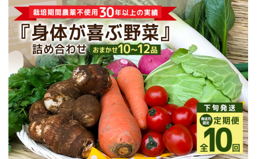 ＜発送月固定定期便＞『身体が喜ぶ野菜』詰め合わせ ( おまかせ 10～12品) 定期便 野菜 詰合せ 下旬発送全10回 詰め合わせセット お任せ 野菜定期便 季節の野菜 セット 有機栽培 EM農法 産地直送 野菜ボックス ギフト 家庭用 茨城県 潮来市 (A03-021)