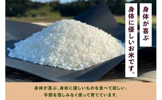 ïŒçœç±³ 5kgïŒã身äœãåã¶éèãšãç±³ãè©°ãåãã ããŸããã»ãã èšåçç£ ã³ã·ãã«ãª ç±³ ãç±³ ã飯 ãã¯ã æ œå¹æéäžèŸ²è¬äžäœ¿çš å£ç¯ã®éè ã»ãã 埮çç©èŸ²æ³ EMèŸ²æ³ ææ©æ œå¹ ç£å°çŽé æ°é®® å®¶åºçš æœ®æ¥ã¯ããã¿ã®ãã èšåç æœ®æ¥åž (A03-004)