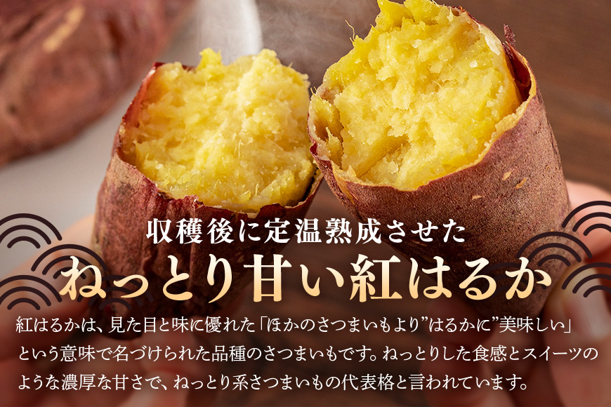さつまいも 熟成紅はるか 約5kg 無選別(L〜Sサイズ) 茨城県産 ねっとり 甘い 焼き芋 大学芋 天ぷら 自然の甘み スイーツ 野菜 サツマイモ 茨城県 潮来市 (A52-003)