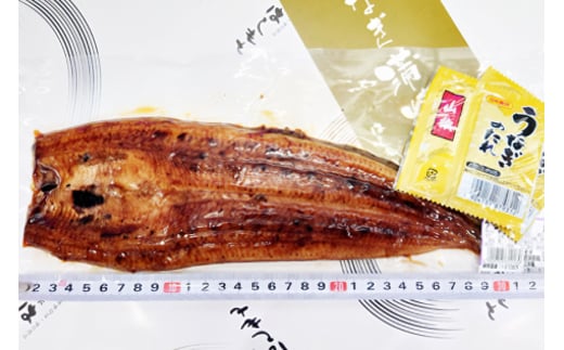 超特大!やわらか 国内産うなぎ蒲焼 220〜250g 1尾 肉厚ジューシー 国産ブランド鰻 ふっくら仕上げ 蒲焼きのタレ・山椒付き 湯煎で簡単調理 うな丼 うな重 ギフト 贈答用 冷蔵配送 国産 茨城県 潮来市 (A23-003)
