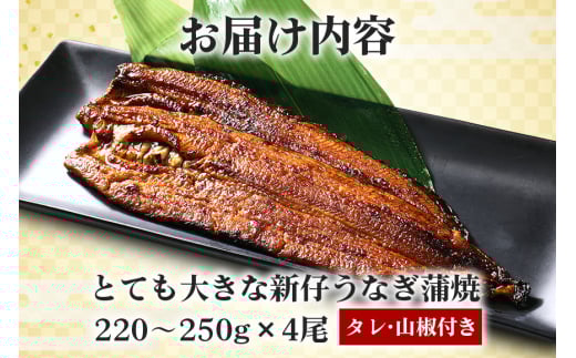 è¶
ç¹å€§!ãããã åœå
ç£ããªãè²çŒ 220ã250g 4å°Ÿ èš880gä»¥äž èåãžã¥ãŒã·ãŒ ãµã£ããæãã ãã©ã³ãé°»äœ¿çš ç§äŒã®ã¿ã¬ã»å±±æ€ä»ã 湯ç
ã§ç°¡å調ç ããªäžŒ ããªé èŽççš ã®ãã å·èµé
é åœç£ èšåç æœ®æ¥åž (A23-006)