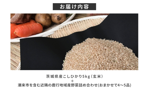 ïŒçç±³ 5kgïŒã身äœãåã¶éèãšãç±³ãè©°ãåãã ããŸããã»ãã èšåçç£ ã³ã·ãã«ãª ç±³ ãç±³ ã飯 ãã¯ã æ œå¹æéäžèŸ²è¬äžäœ¿çš å£ç¯ã®éè ã»ãã 埮çç©èŸ²æ³ EMèŸ²æ³ ææ©æ œå¹ ç£å°çŽé æ°é®® å®¶åºçš æœ®æ¥ã¯ããã¿ã®ãã èšåç æœ®æ¥åž (A03-003)