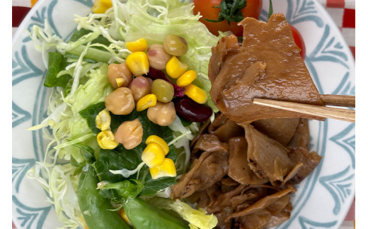 国産有機大豆ミート ハンバーグ ・ 生姜焼き 100g×各2pセット 植物性原料使用 ヴィーガン対応 JAS認証取得 お肉のような食感 ボリューム満点 健康志向 ヘルシー食品 冷凍保存 茨城県 潮来市 (A61-005)