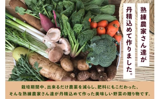 ïŒçç±³ 2kgïŒã身äœãåã¶éèãšãç±³ãè©°ãåãã ããŸããã»ãã èšåçç£ ã³ã·ãã«ãª ç±³ ãç±³ ã飯 ãã¯ã æ œå¹æéäžèŸ²è¬äžäœ¿çš å£ç¯ã®éè ã»ãã 埮çç©èŸ²æ³ EMèŸ²æ³ ææ©æ œå¹ ç£å°çŽé æ°é®® å®¶åºçš æœ®æ¥ã¯ããã¿ã®ãã èšåç æœ®æ¥åž (A03-005)