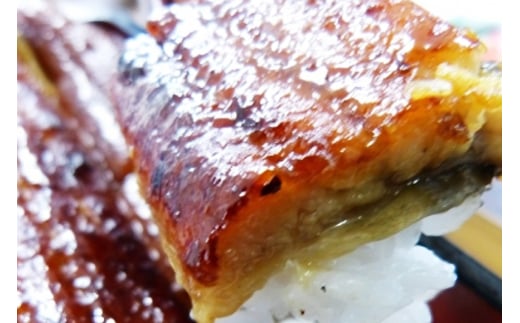 超特大!やわらか 国内産うなぎ蒲焼 220〜250g 1尾 肉厚ジューシー 国産ブランド鰻 ふっくら仕上げ 蒲焼きのタレ・山椒付き 湯煎で簡単調理 うな丼 うな重 ギフト 贈答用 冷蔵配送 国産 茨城県 潮来市 (A23-003)