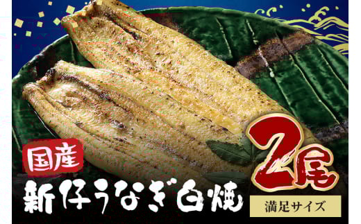 満足サイズ! 国内産 うなぎ 白焼 ( 酒蒸 ) 120〜140g 2尾 計240g以上 ふっくら 柔らか 鰻本来の旨味 ワサビ醤油 蒲焼のタレ 山椒付き 湯煎 簡単調理 贈答用 ギフト 冷蔵配送 国産 茨城県 潮来市 (A23-017)