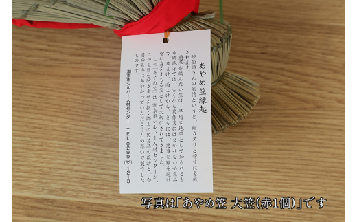 縺ゅd繧∫ャ 螟ァ隨 邏ォ 1蛟 謇倶ス懊j 荵晏キ樒頑悽逕」縺闕我スソ逕ィ 莨晉オア蟾・闃ク蜩 隨 蟶ス蟄 鬚ィ諠縺ゅk蜥碁「ィ髮題イィ 閨キ莠コ謇倶ス懈・ュ 闌ィ蝓守恁 貎ョ譚・蟶 (A24-005)