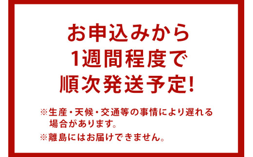 国産 しじみ 味噌汁 真空パック インスタント みそ汁 即席 48食 (6食入り×8個) セット しじみ汁 シジミ 蜆 インスタント味噌汁 常温保存 個包装 殻付きしじみ 即席味噌汁 味噌 みそ 簡単調理 常温 手軽 健康食 疲労回復 茨城県 潮来市 (A14-005)