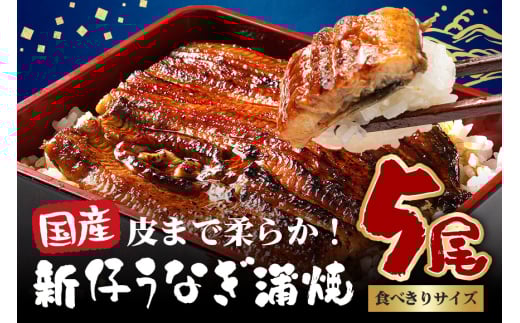 やわらか国内産 うなぎ蒲焼 食べ切りサイズ! 100〜120g 5尾 計500g以上 ふっくら蒲焼き ブランド鰻使用 秘伝のタレ・山椒付き 湯煎で簡単調理 うな丼 ちらし寿司 贈答用 ギフト 冷蔵配送 国産 茨城県 潮来市 (A23-011)