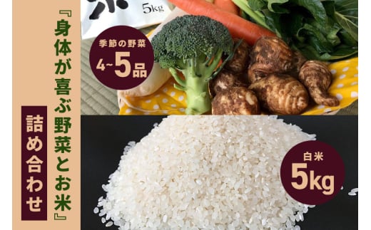 ＜白米 5kg＞『身体が喜ぶ野菜とお米』詰め合わせ おまかせセット 茨城県産 コシヒカリ 米 お米 ご飯 ごはん 栽培期間中農薬不使用 季節の野菜 セット 微生物農法 EM農法 有機栽培 産地直送 新鮮 家庭用 潮来はぐくみのもり 茨城県 潮来市 (A03-004)