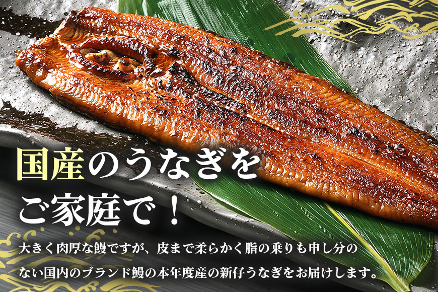 皮まで柔らか、とても大きな国産新仔うなぎ蒲焼(220〜250グラム)2尾セット