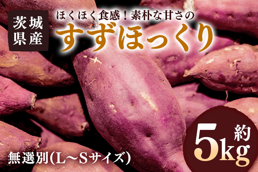 さつまいも すずほっくり 約5kg 無選別(L〜Sサイズ) 茨城県産 ホクホク 食感 焼き芋 天ぷら 大学芋 しっとり 舌触り 自然の甘み スイーツ 野菜 サツマイモ 茨城県 潮来市 (A52-004)